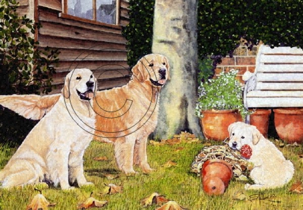 Golden Retrievers/In a Country Garden